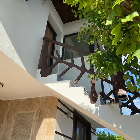 Casa Miru 3* Mangalia